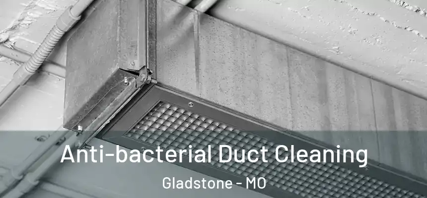  Anti-bacterial Duct Cleaning Gladstone - MO