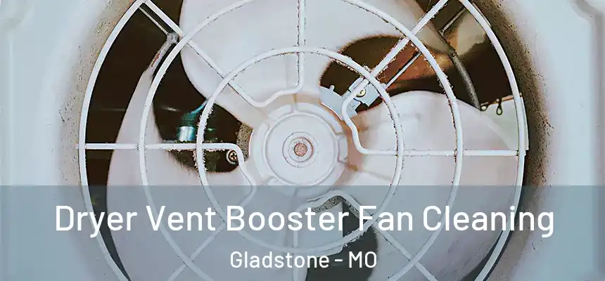  Dryer Vent Booster Fan Cleaning Gladstone - MO