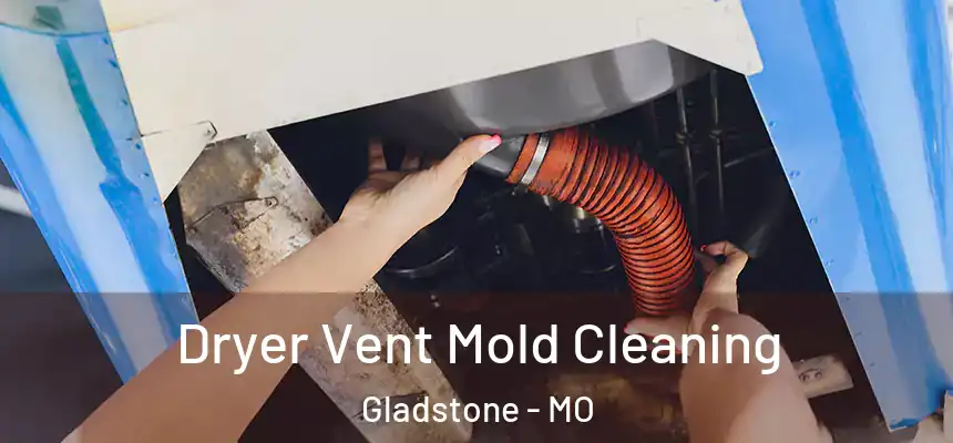Dryer Vent Mold Cleaning Gladstone - MO
