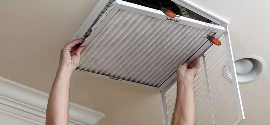 Preventive Cockroach-Proofing for Ducts in Gladstone