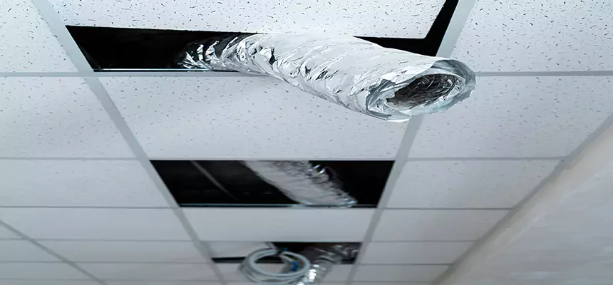 Affordable HVAC Sanitizing After Pest Removal in Gladstone