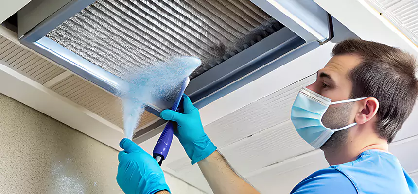 Proactive Dryer Vent & Auxiliary Duct Pollen Cleanup in Gladstone, MO