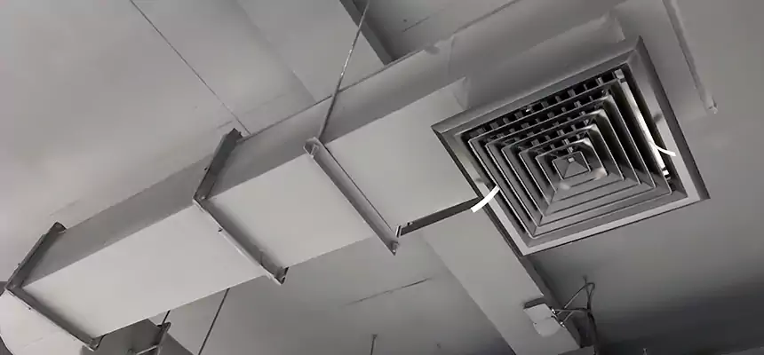 Our Pest Removal From Ducts Services in Gladstone, MO