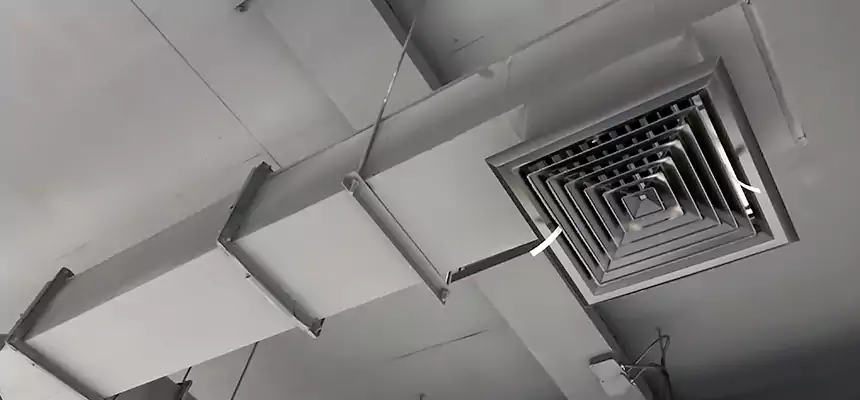 Our Rodent Droppings In Vents Services in Gladstone, MO