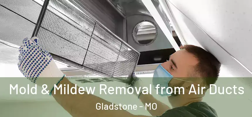 Mold & Mildew Removal from Air Ducts Gladstone - MO
