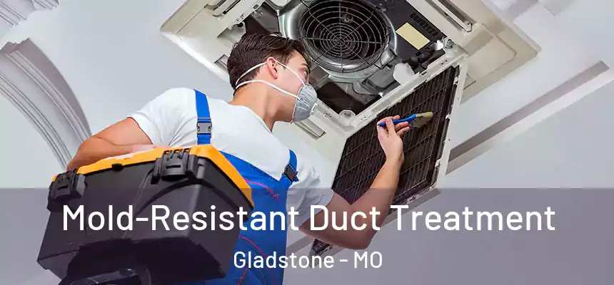  Mold-Resistant Duct Treatment Gladstone - MO