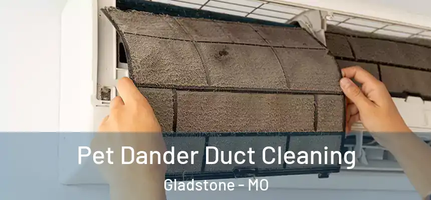  Pet Dander Duct Cleaning Gladstone - MO
