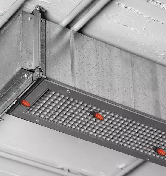 Affordable Insect Removal from Air Ducts in Gladstone, MO