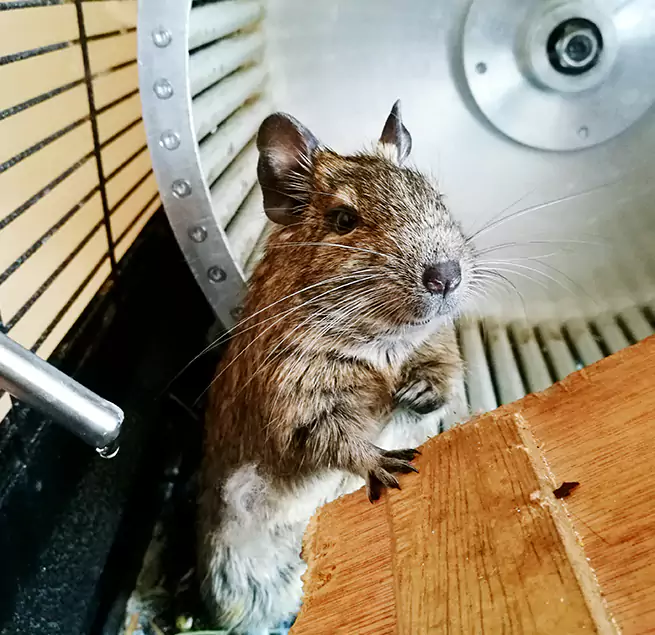 Why Homeowners & Businesses Trust Us Gladstone, MO