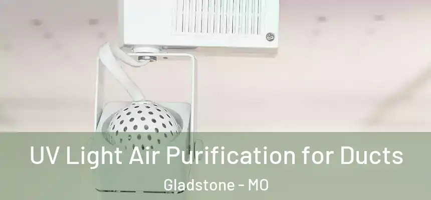  UV Light Air Purification for Ducts Gladstone - MO